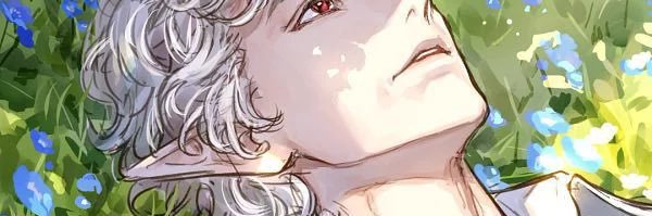 dvlsaga's banner