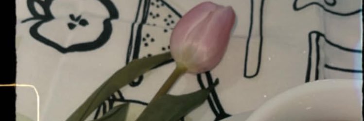 Paulinha's banner