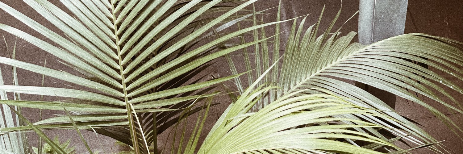 mattynightingale's banner