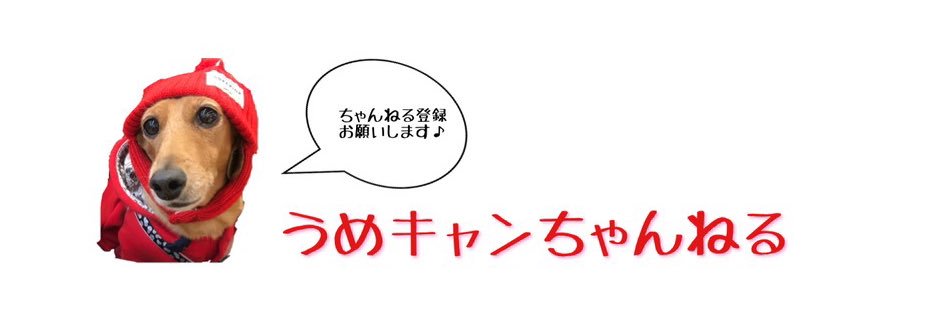 うめキャン's banner