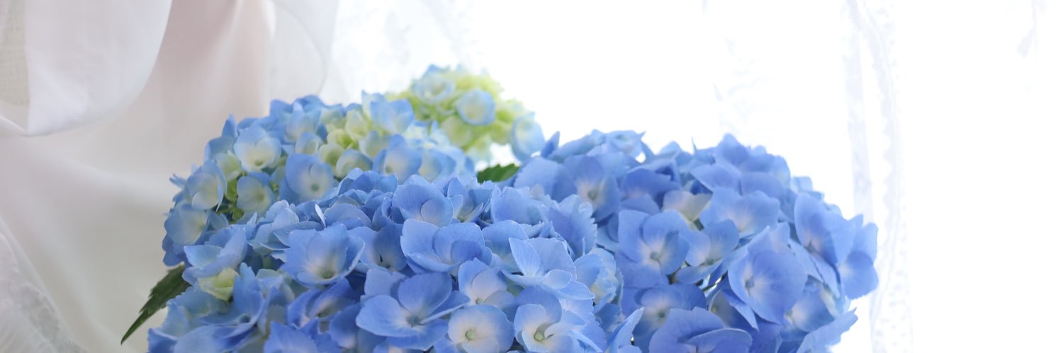 🌱破雪鈴〜🍓🐹はいちご大福✨TL追えてません(　˙-˙　)'s banner