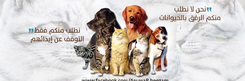 عمار حزام's banner