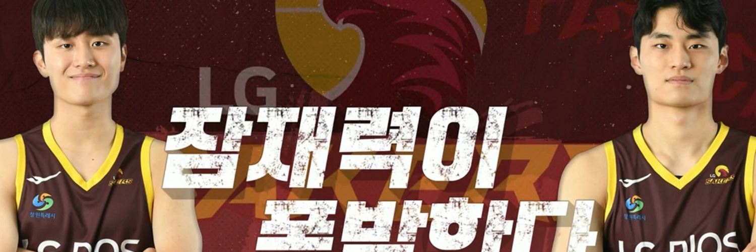 돌핀킥's banner