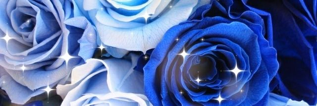みゅう⚡💗's banner