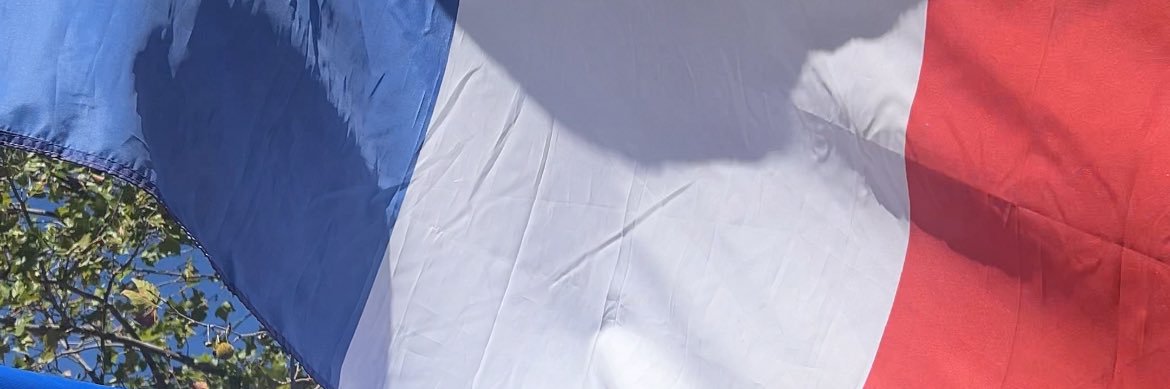 Camille de Vita 🇨🇵's banner