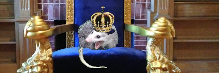 Opossumkönig's banner