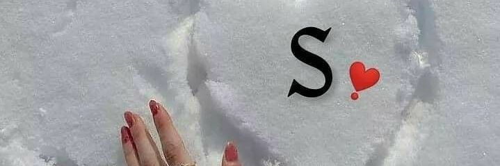 Saia's banner
