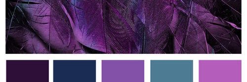 tryeiutr's banner