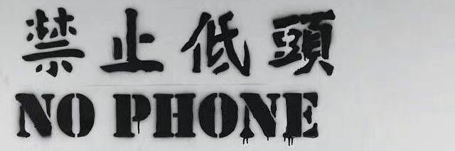 大奶狼ckn's banner
