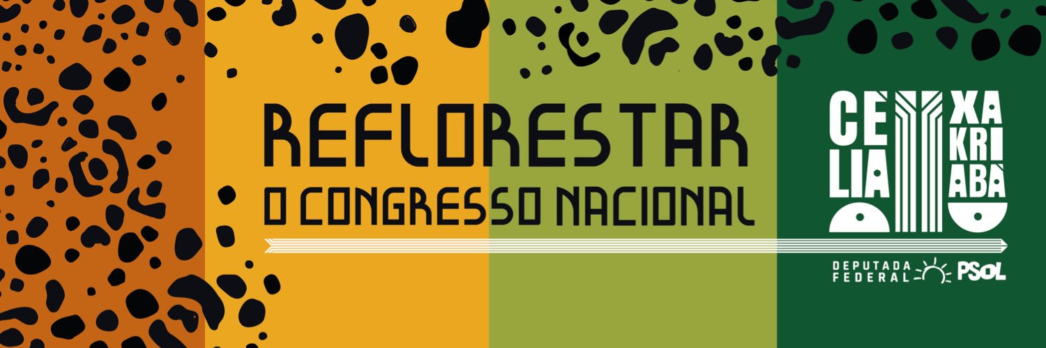 Célia Xakriabá's banner