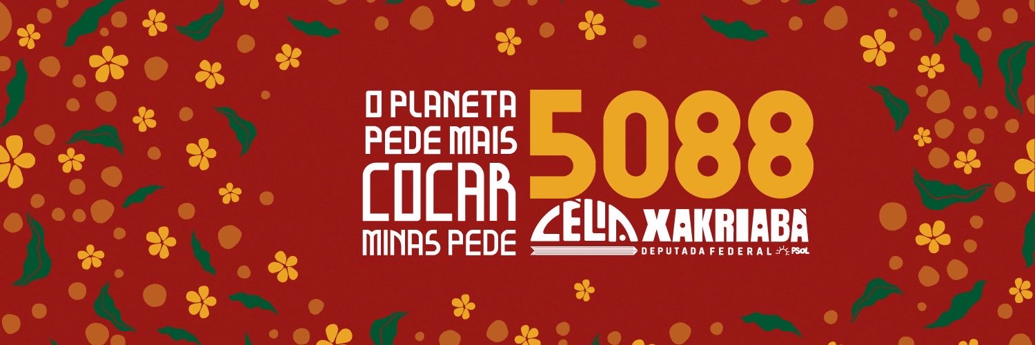Célia Xakriabá's banner