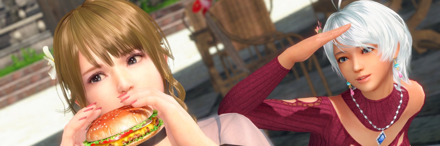 ねこのくつした@DOAXVV's banner