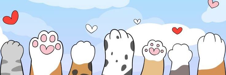 A Y E S H A's banner