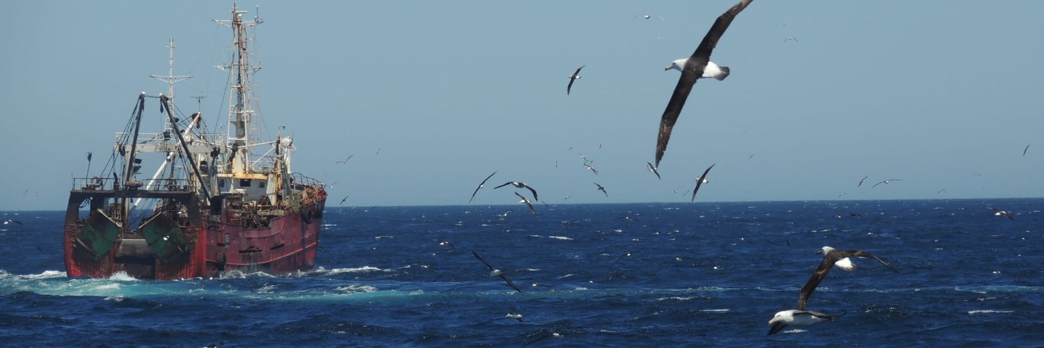 BirdLife Marine's banner