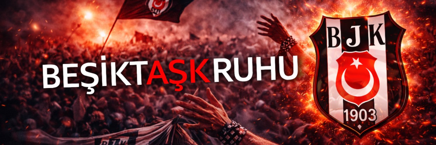 BeşiktAŞK Ruhu's banner