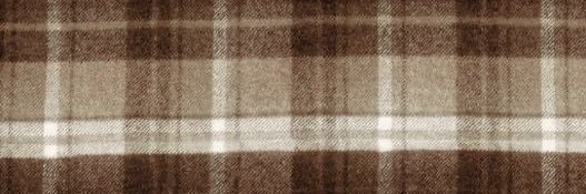 soph ᥫ᭡'s banner