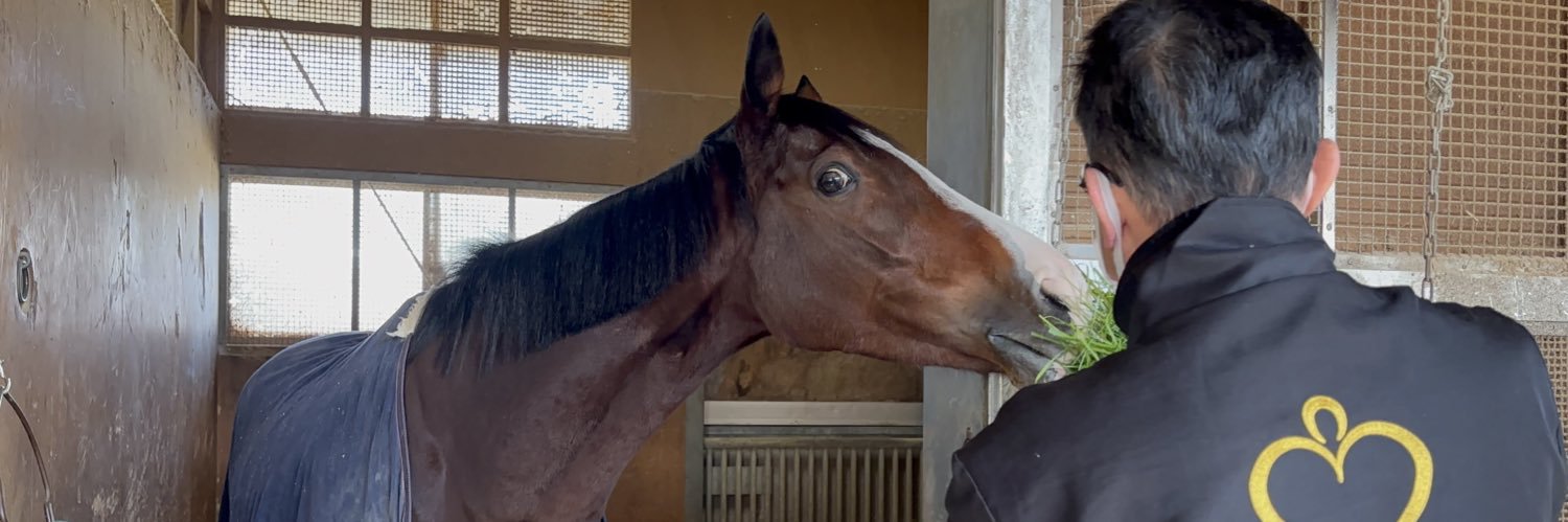 MORITA🐎STABLE's banner