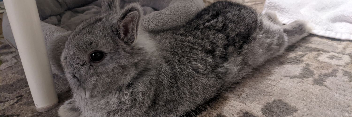 Little Fur Monsters - Walnut & Nugget's banner