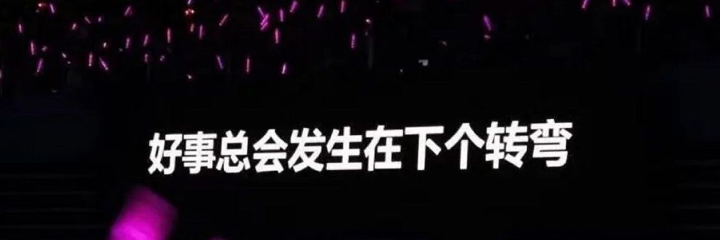 辛夷's banner