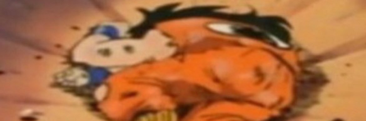 Skwidrd🍉's banner