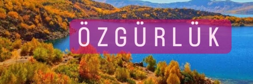 Zana✌️'s banner