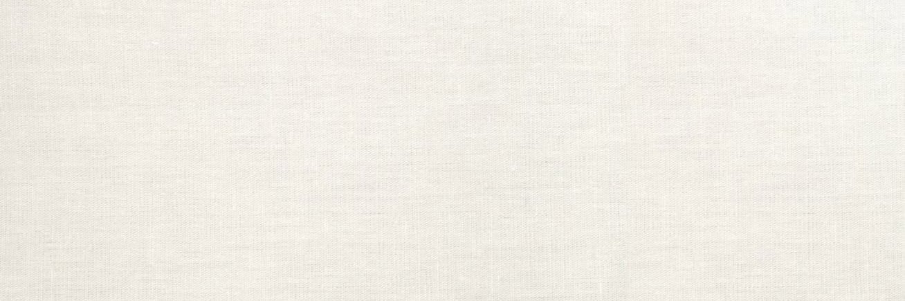 angèle van laeken if south american's banner