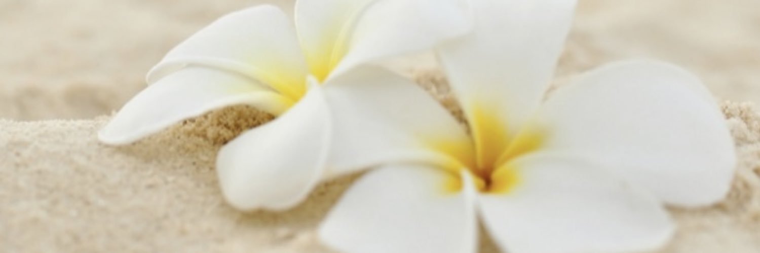 🌺yuri_Mahalo🌺's banner