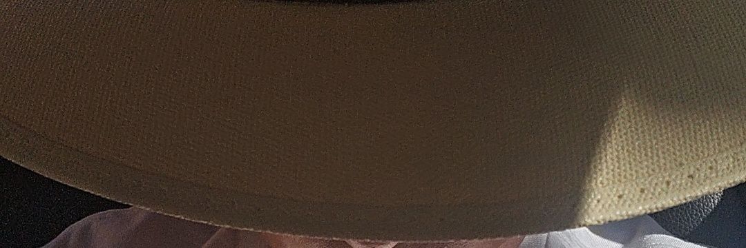 Sunshine（╹◡╹）🖕's banner
