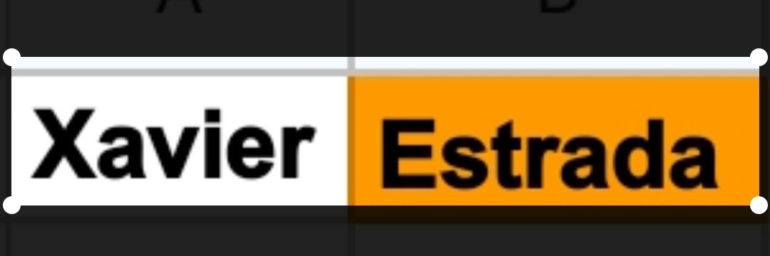 Xavier Blanco's banner