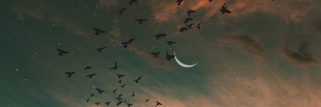 PELİN's banner