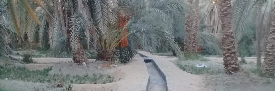fathy abdel wahab's banner