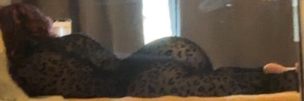 Venus's banner