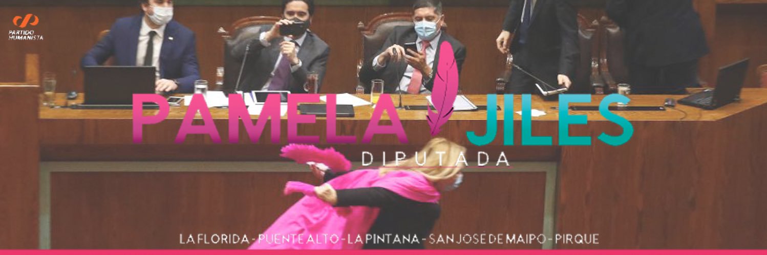 #PamelaJilesDiputada's banner