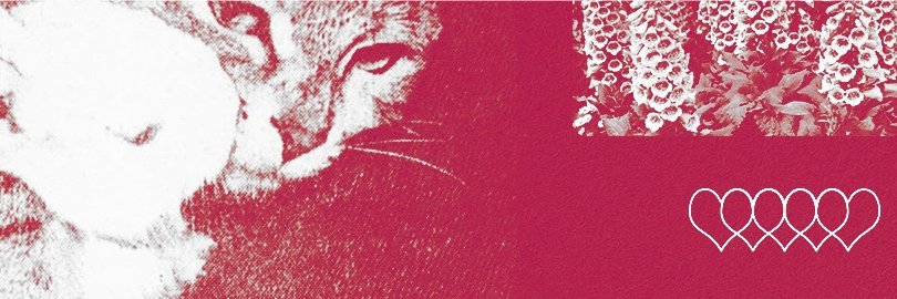 ketaminion's banner