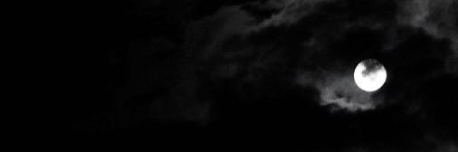 !zzuu's banner