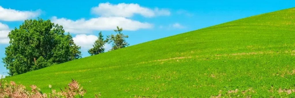 老酒（🪵999🔥）'s banner