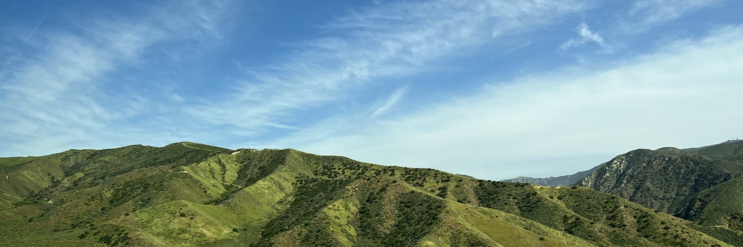 Morgpie's banner