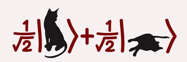 T_Globe's banner