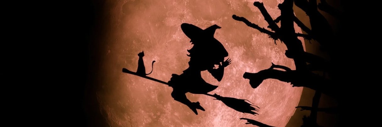 lady 🎃⭐️'s banner
