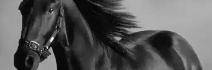 ___💧's banner