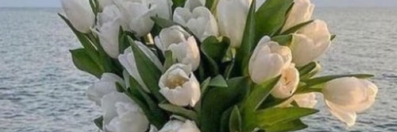 Danaa_alenzi's banner