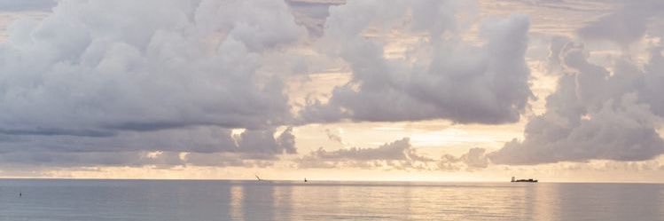 vitamin Q's banner