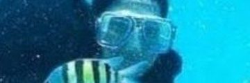 ᖇᗴᗪᵛᵉˡᵛᵉᵗ🌺's banner