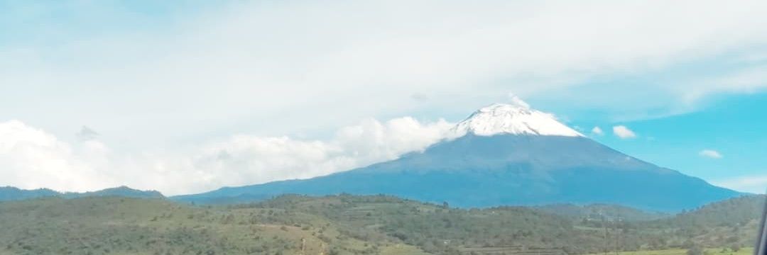 Ninjaasux's banner