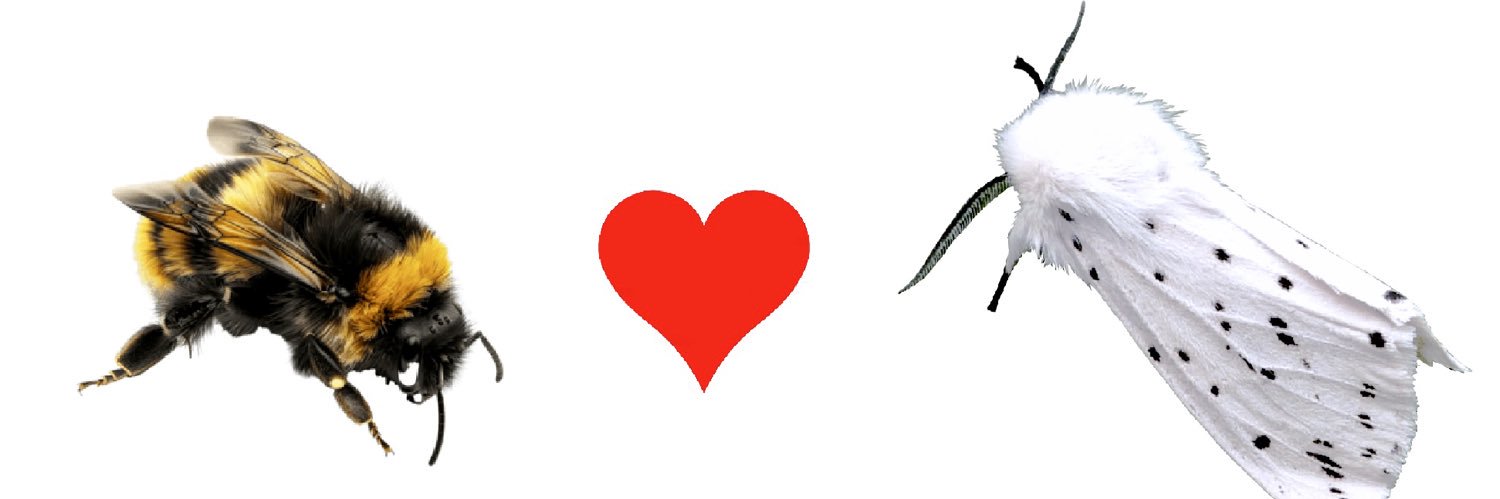 ting's banner