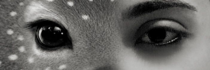 rofaida's banner