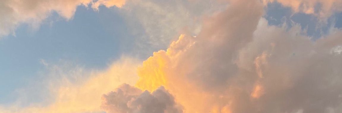 𝐀𝐥𝐢 | 📸's banner