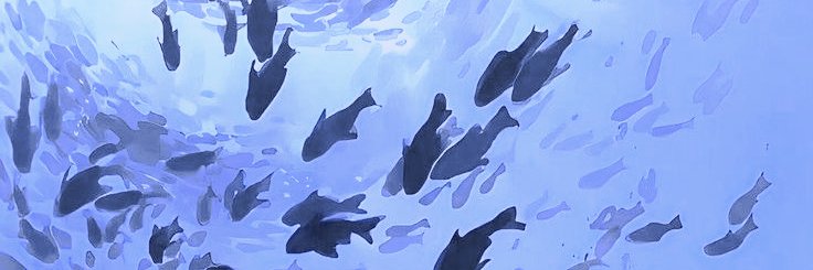 BLUE 🐠's banner