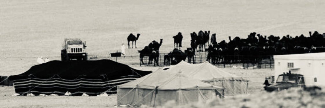 Alotaibi,A 🇸🇦's banner