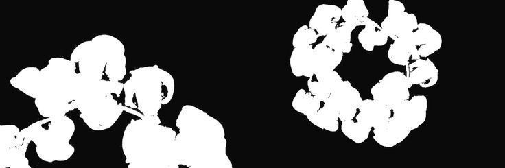 ✭ 𝕯𝖗𝖊𝖆𝖒𝖇𝖔𝖞 ✭'s banner